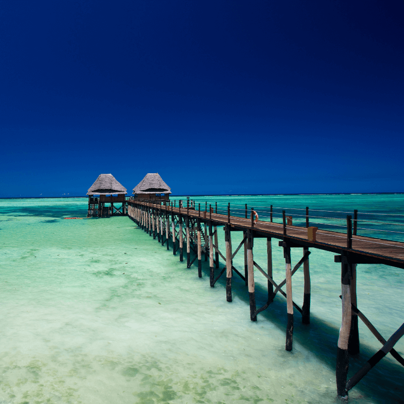 Destinazioni crociera - Transoceanica