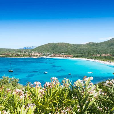 porto crociera - Olbia